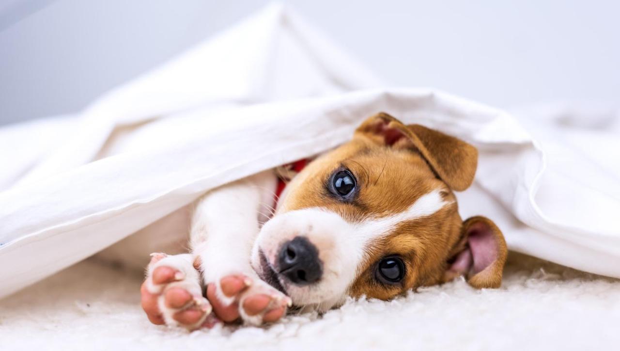 Custom Stay Thief River Falls Ngoại thất bức ảnh